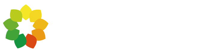 空软网