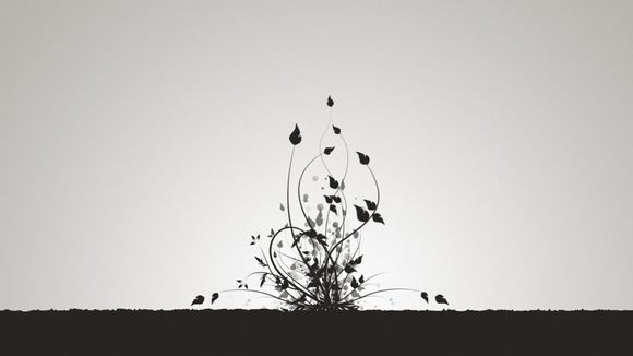 残害动物事件