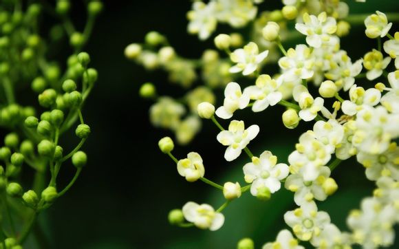 伪装学渣肉无删减92章