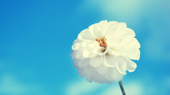 ipad照片恢复备份怎么恢复