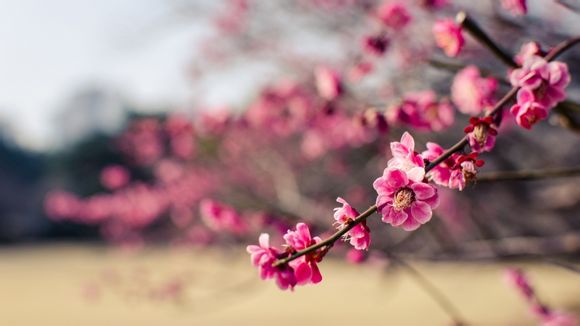 主板在电脑的哪里