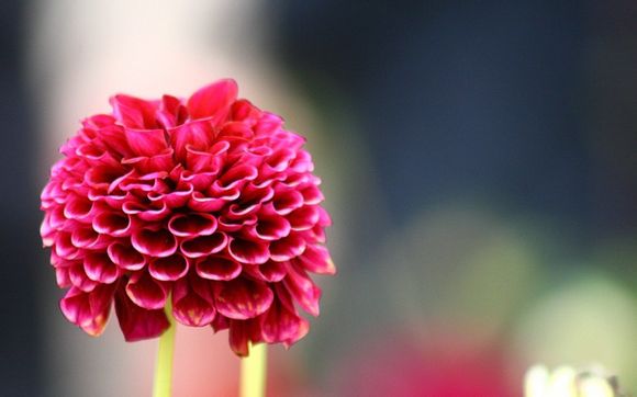 100gu盘多少钱
